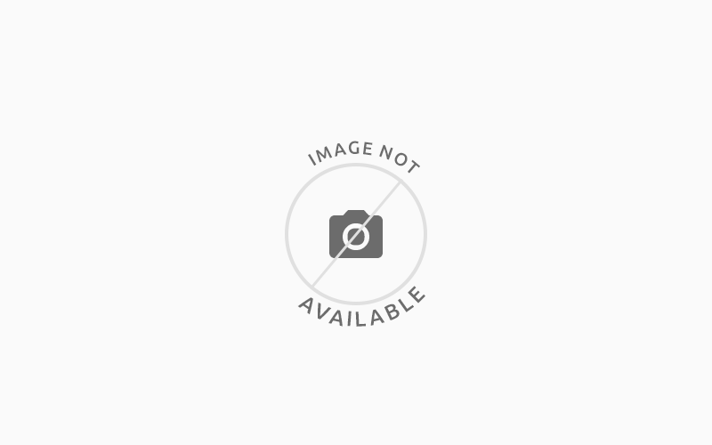 WordPress test